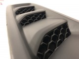 Hood Bezel, LH